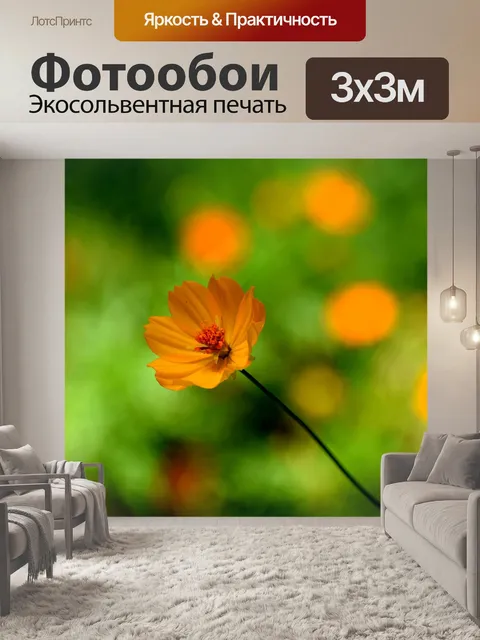 Фотообои Белый