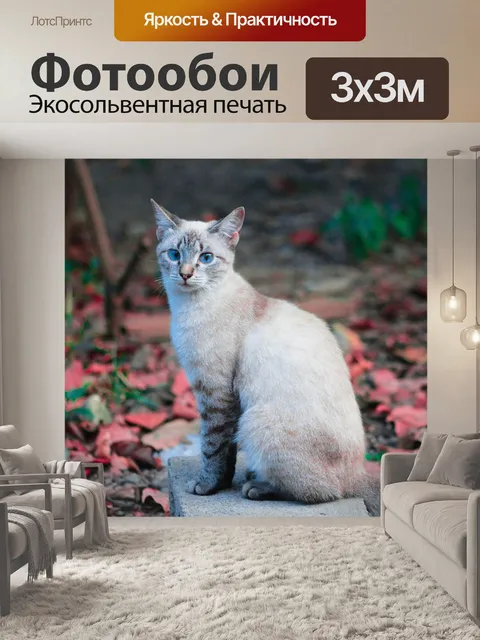 Фотообои Луна