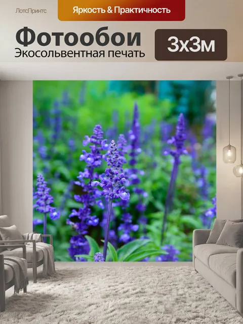 Фотообои Лаванда