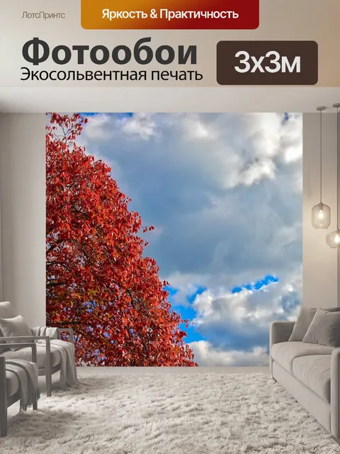 Фотообои Цвета