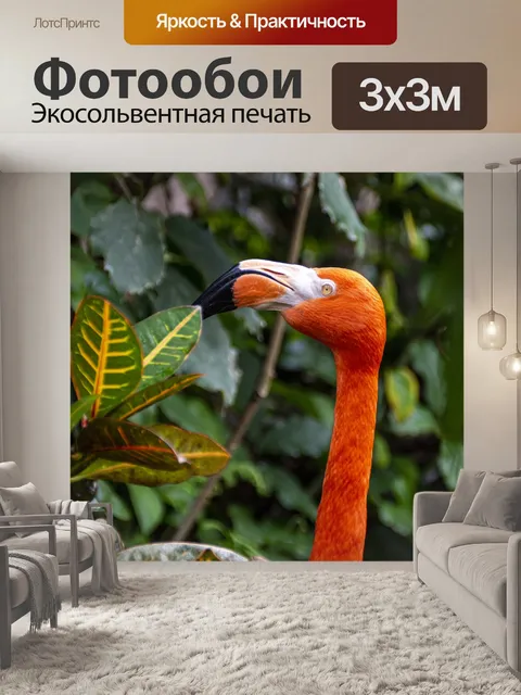 Фотообои Фламинго