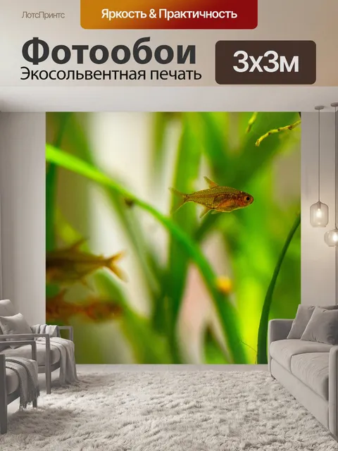 Фотообои Аквариум