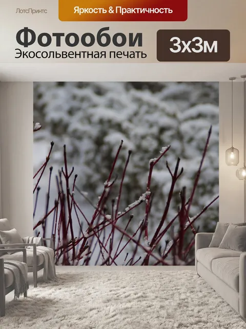Фотообои Фон