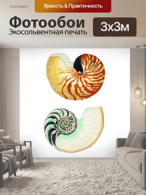 Фотообои Морская ракушка клипарт винтажное искусс