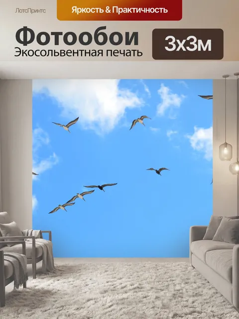 Фотообои Чайки летают