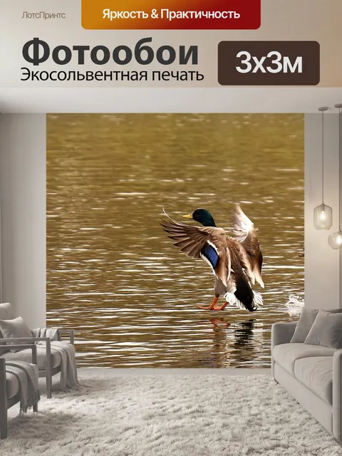 Фотообои Кряквы