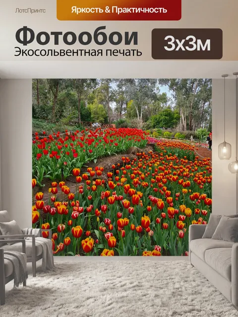 Фотообои Тюльпаны в Аралуэне