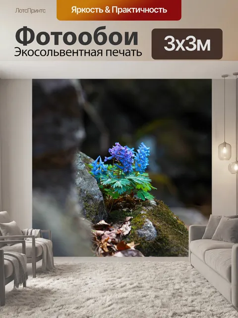 Фотообои Цветы