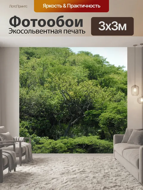 Фотообои Деревья