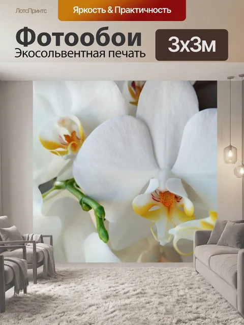 Фотообои Цветок