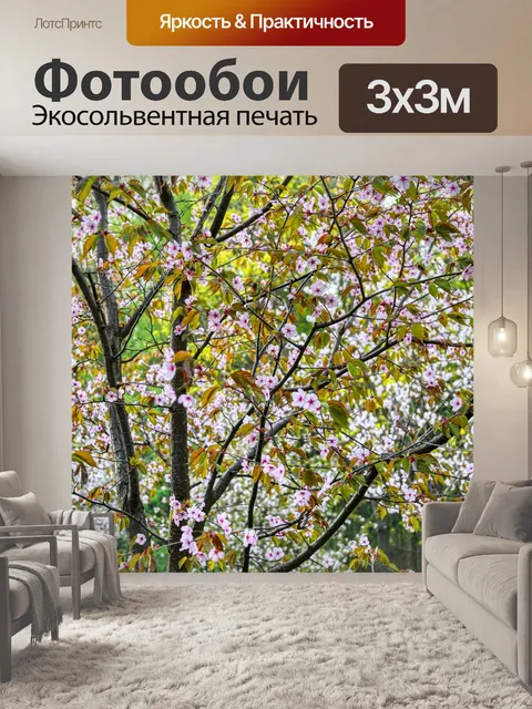 Фотообои Сакура