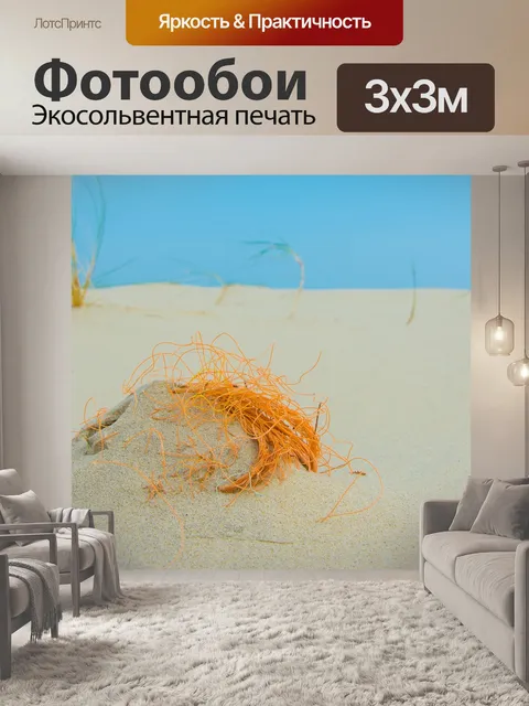 Фотообои Боркум