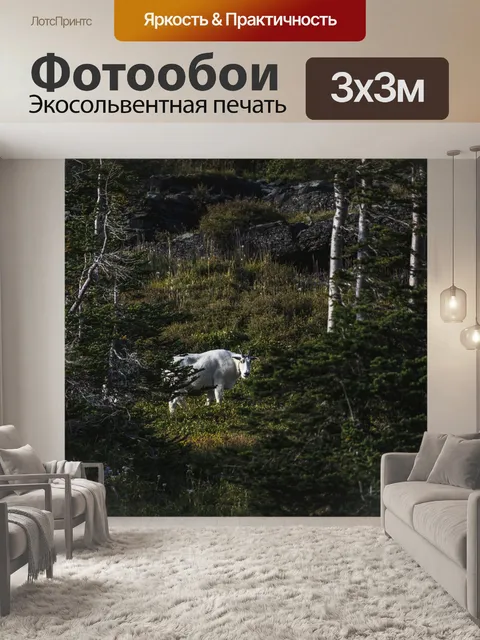 Фотообои Животное