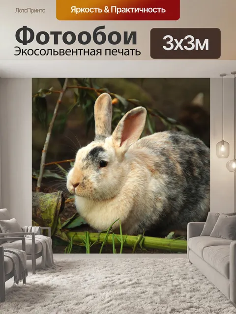 Фотообои Зайчик кролик зайчик пасха