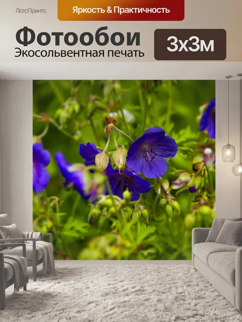 Фотообои Цветы