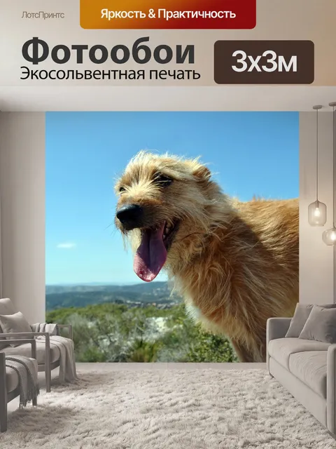 Фотообои Собака