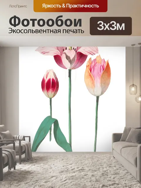 Фотообои Винтажная иллюстрация тюльпана