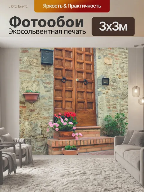 Фотообои Старая дверь