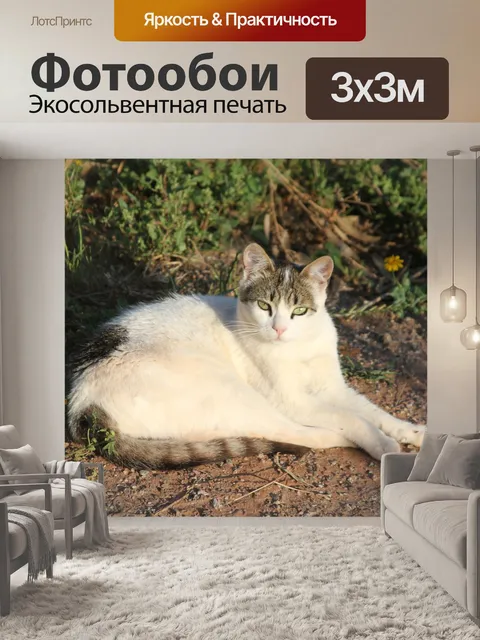 Фотообои Кошка