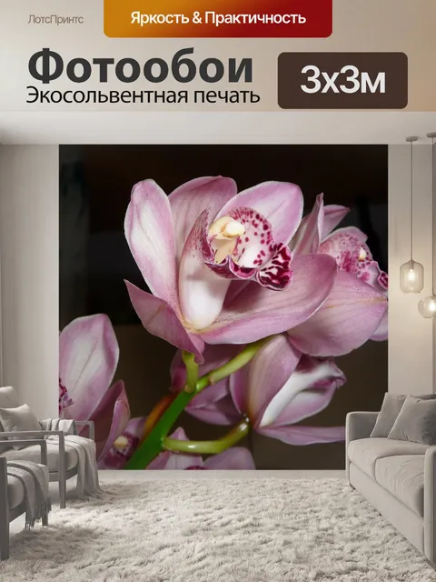 Фотообои Орхидеи