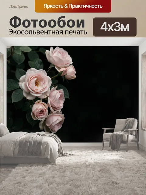 400 × 300 см · Экосольвентная печать