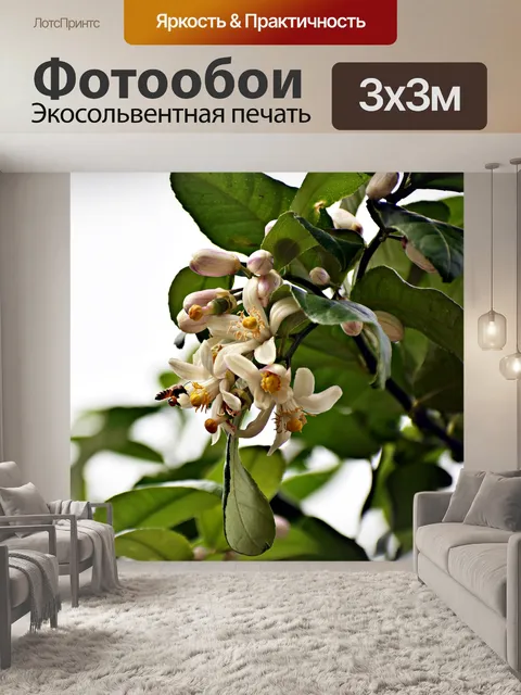 Фотообои Цветы