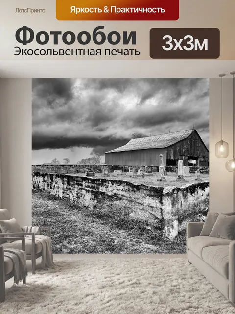 Фотообои Монохромный