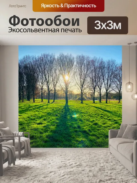 Фотообои Лес