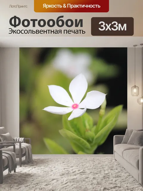 Фотообои Винтаж