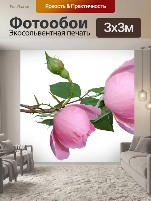 Фотообои Розы