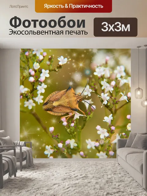 Фотообои Цветы