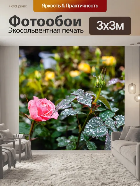 Фотообои Цветы