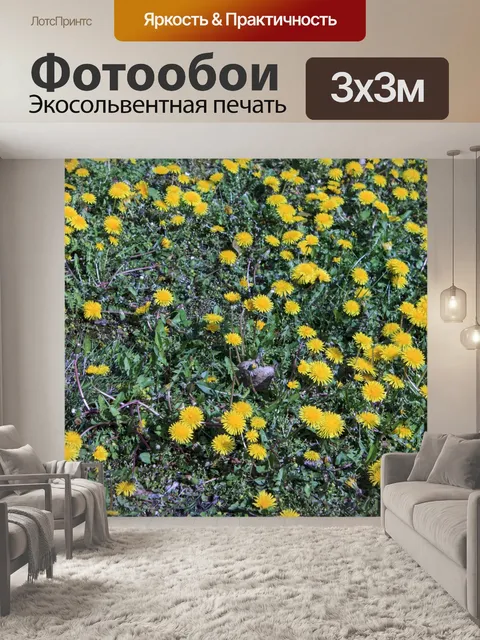 Фотообои Фон