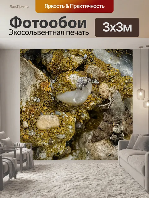 Фотообои Камень
