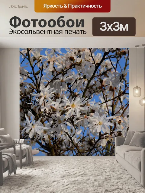 Фотообои Магнолии