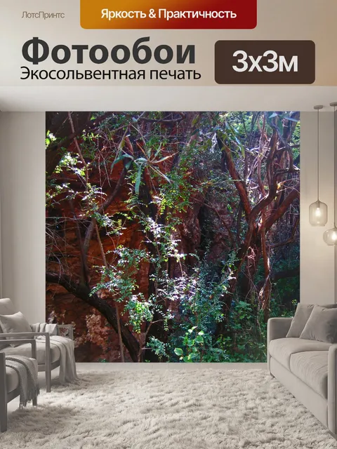 Фотообои солнечный свет на деревьях с тонким ство