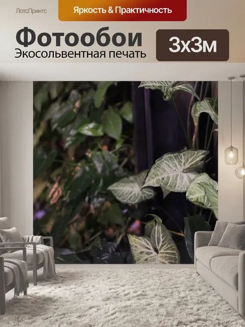Фотообои Бетонный горшок