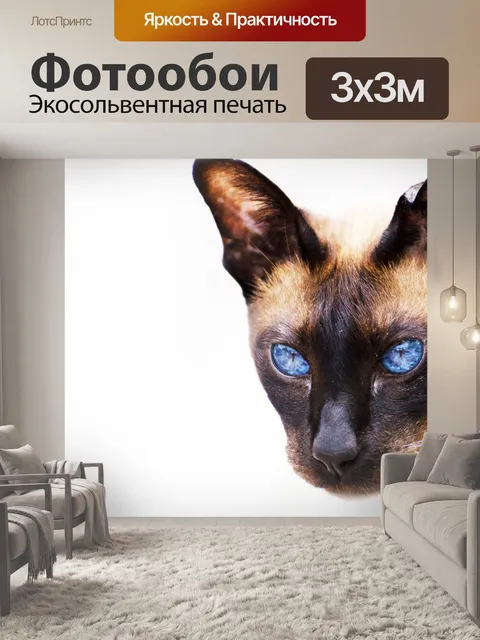 Фотообои Кошка