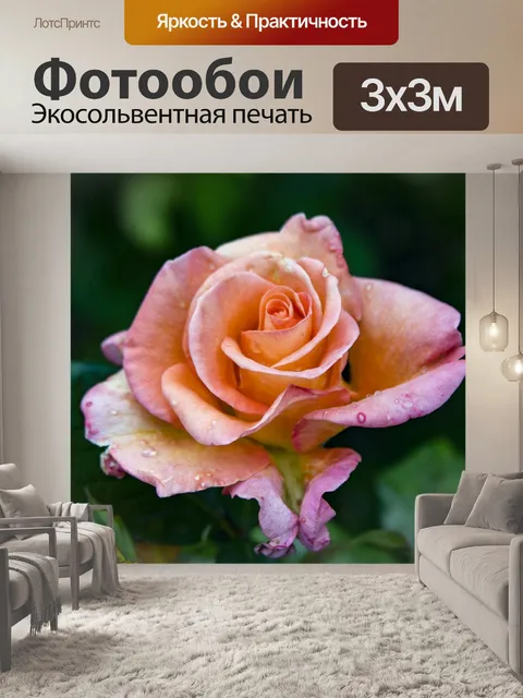 Фотообои Роза