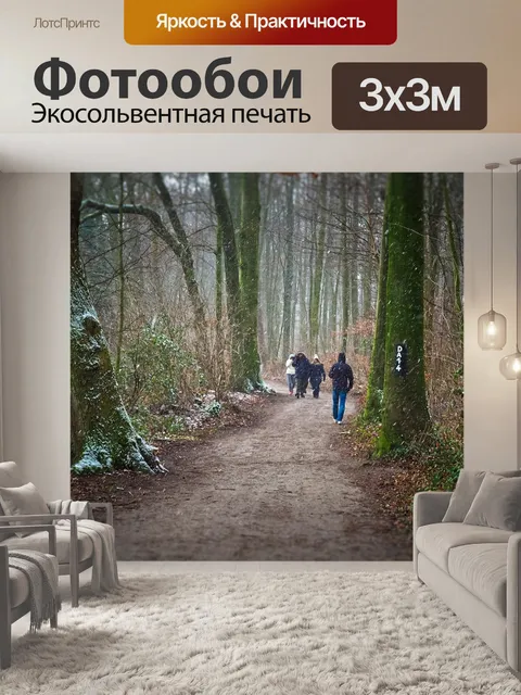 Фотообои Лес