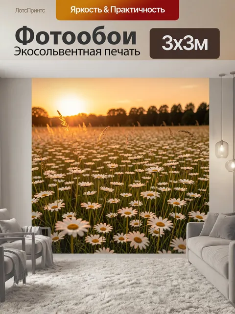Фотообои Ромашковое поле на закате