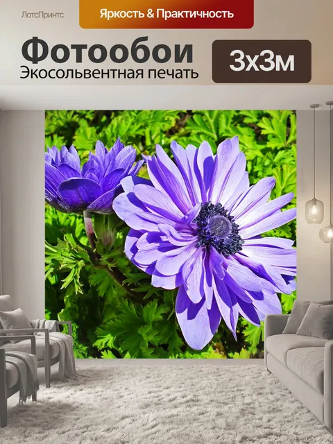 Фотообои Анемоны