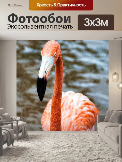 Фотообои Фламинго