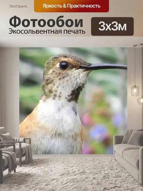 Фотообои Птица