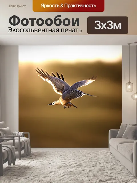 Фотообои птица, запечатленная в моменте полета, когда ее крылья расправлены, а перья сверкают на свету