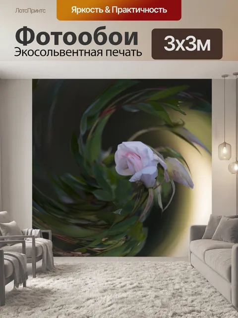 Фотообои Розовая Роза Вихрь