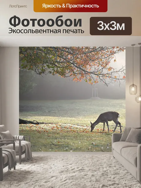 Фотообои Олень