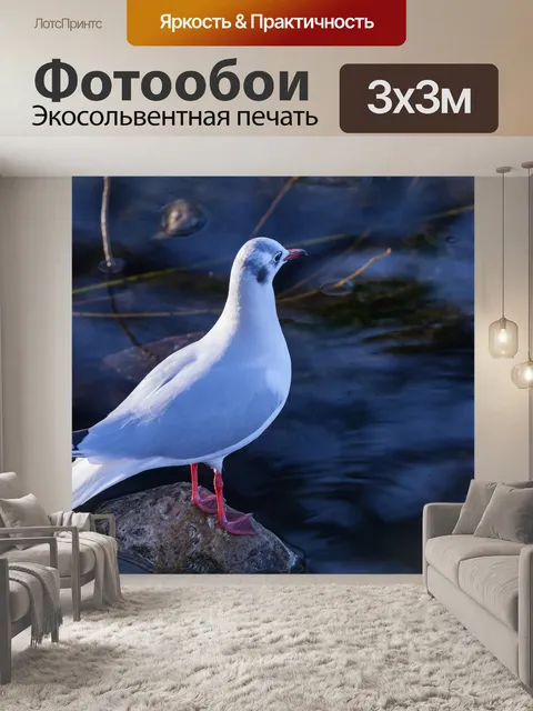 Фотообои Природа