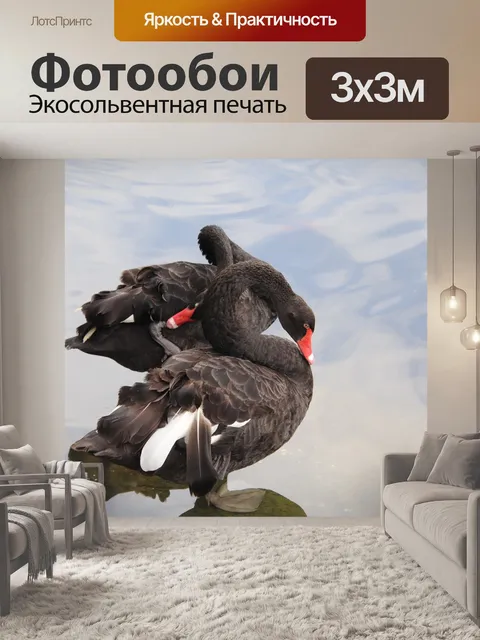 Фотообои Лебеди