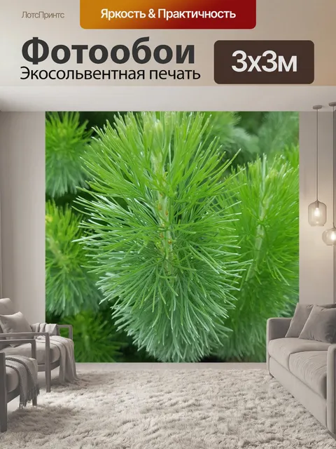 Фотообои Сосна